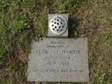 image of grave number 950662